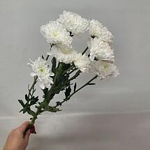 Купить цветы в магазине в городе Воронеж